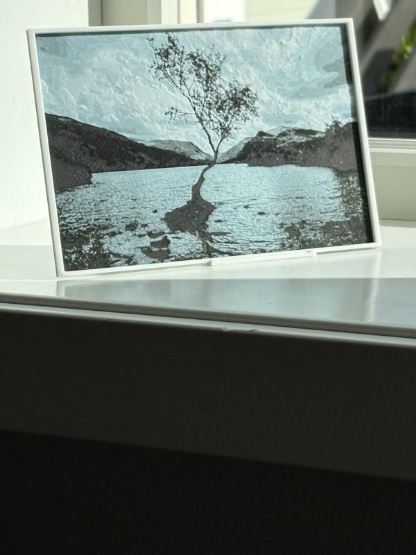 Veggkunst: The Lonely Tree of Llyn Padarn